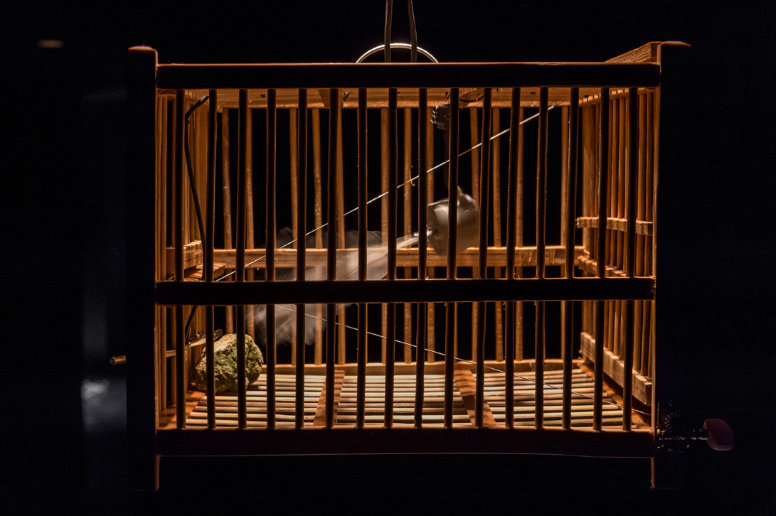 cristofu&amp;eacute; y guacamaya: birdcages, steel strings, tuning pegs and feathers. SONOROUS OBJECTS &amp;nbsp; 靜物之聲 - Rolf Julius, Tomoko Sauvage, Rub&amp;eacute;n D'Hers &amp;amp; Marc Hurtado. The Empty Gallery, Tin Wan, Hong Kong. 11|09|2015 &amp;ndash; 22|10|2015. Fotos by Kitmin Lee. Courtesy of The Empty Gallery, Hong Kong