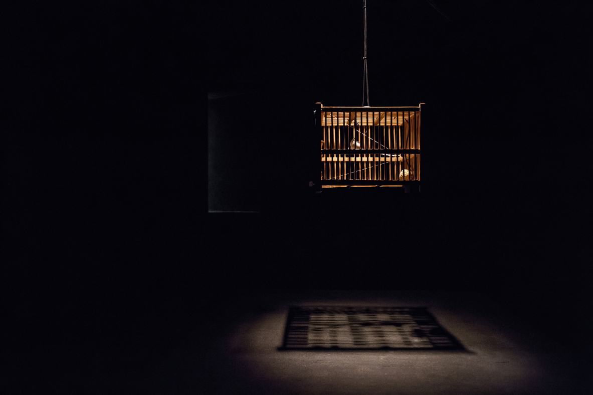 cristofu&amp;eacute; y guacamaya: birdcages, steel strings, tuning pegs and feathers. SONOROUS OBJECTS &amp;nbsp; 靜物之聲 - Rolf Julius, Tomoko Sauvage, Rub&amp;eacute;n D'Hers &amp;amp; Marc Hurtado. The Empty Gallery, Tin Wan, Hong Kong. 11|09|2015 &amp;ndash; 22|10|2015. Fotos by Kitmin Lee. Courtesy of The Empty Gallery, Hong Kong